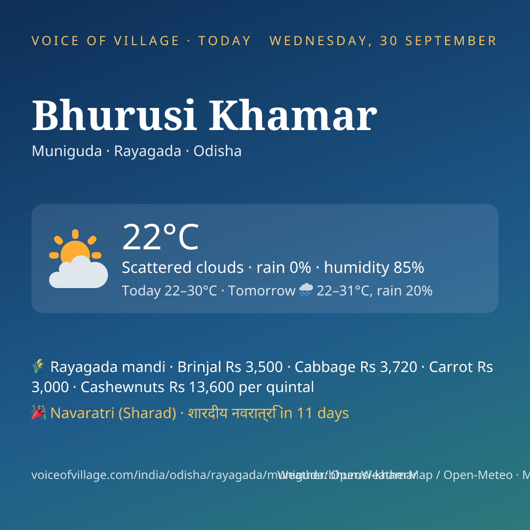 Bhurusi Khamar today