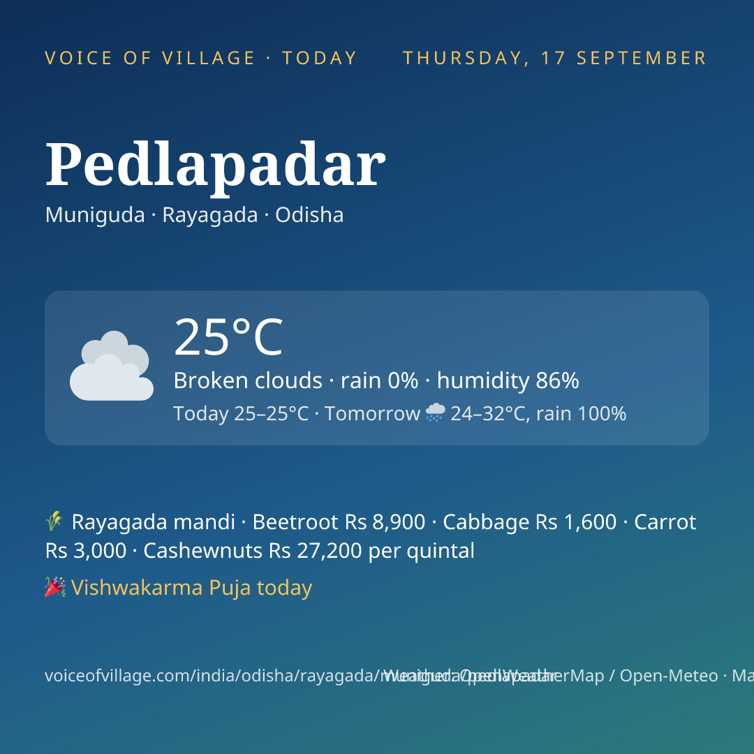 Pedlapadar today