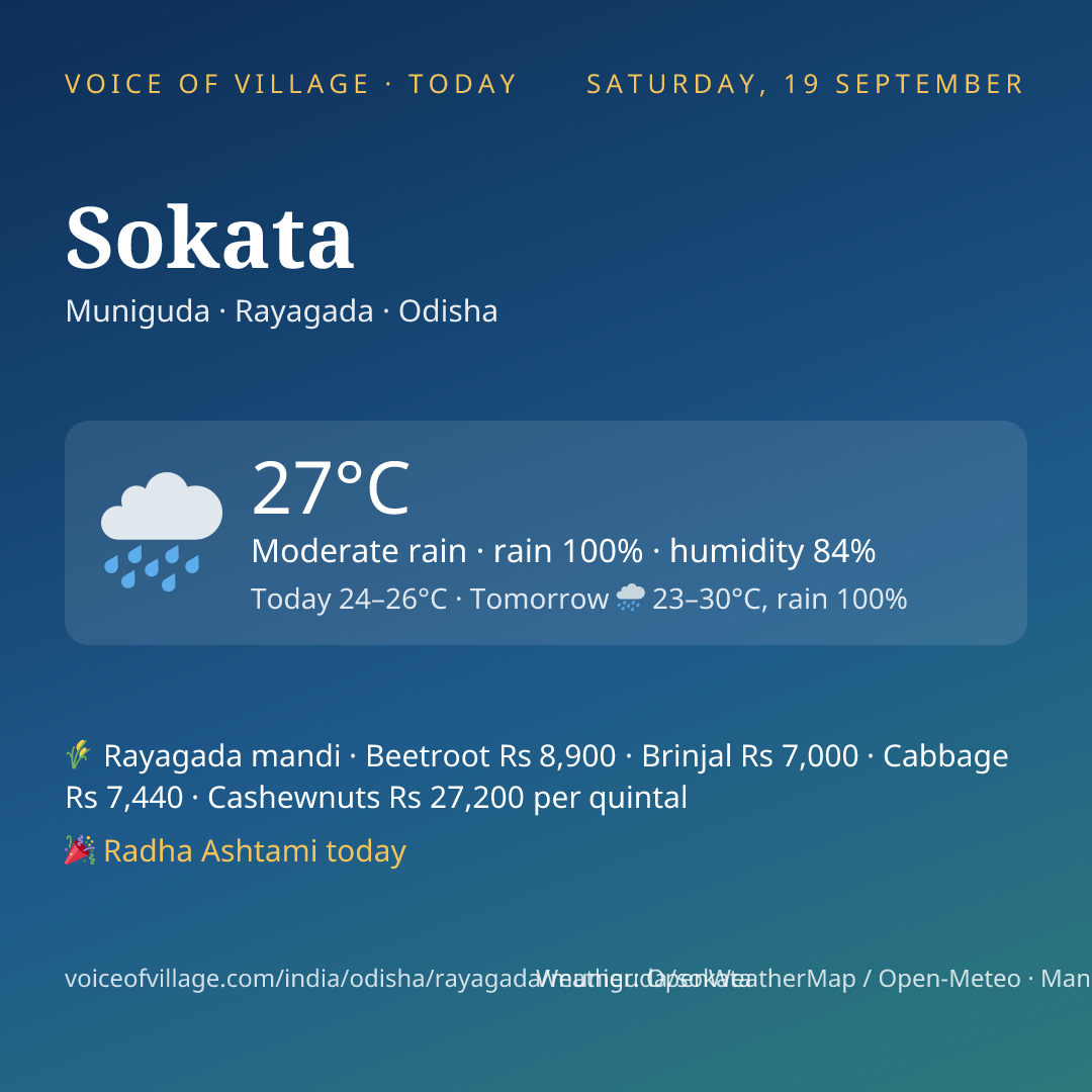 Sokata today