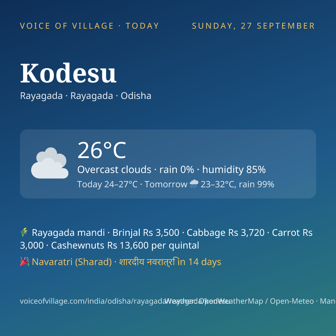 Kodesu today