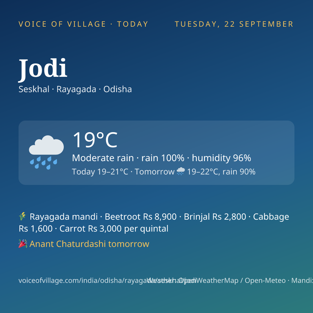 Jodi today