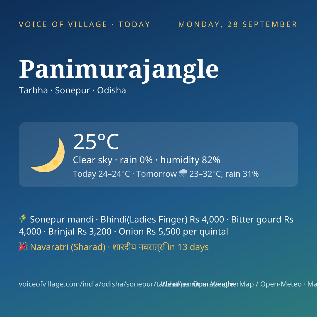 Panimurajangle today