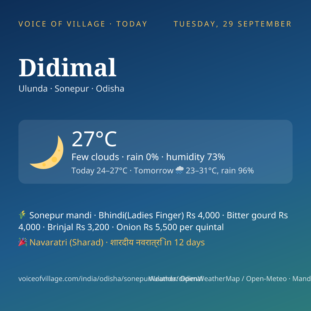Didimal today