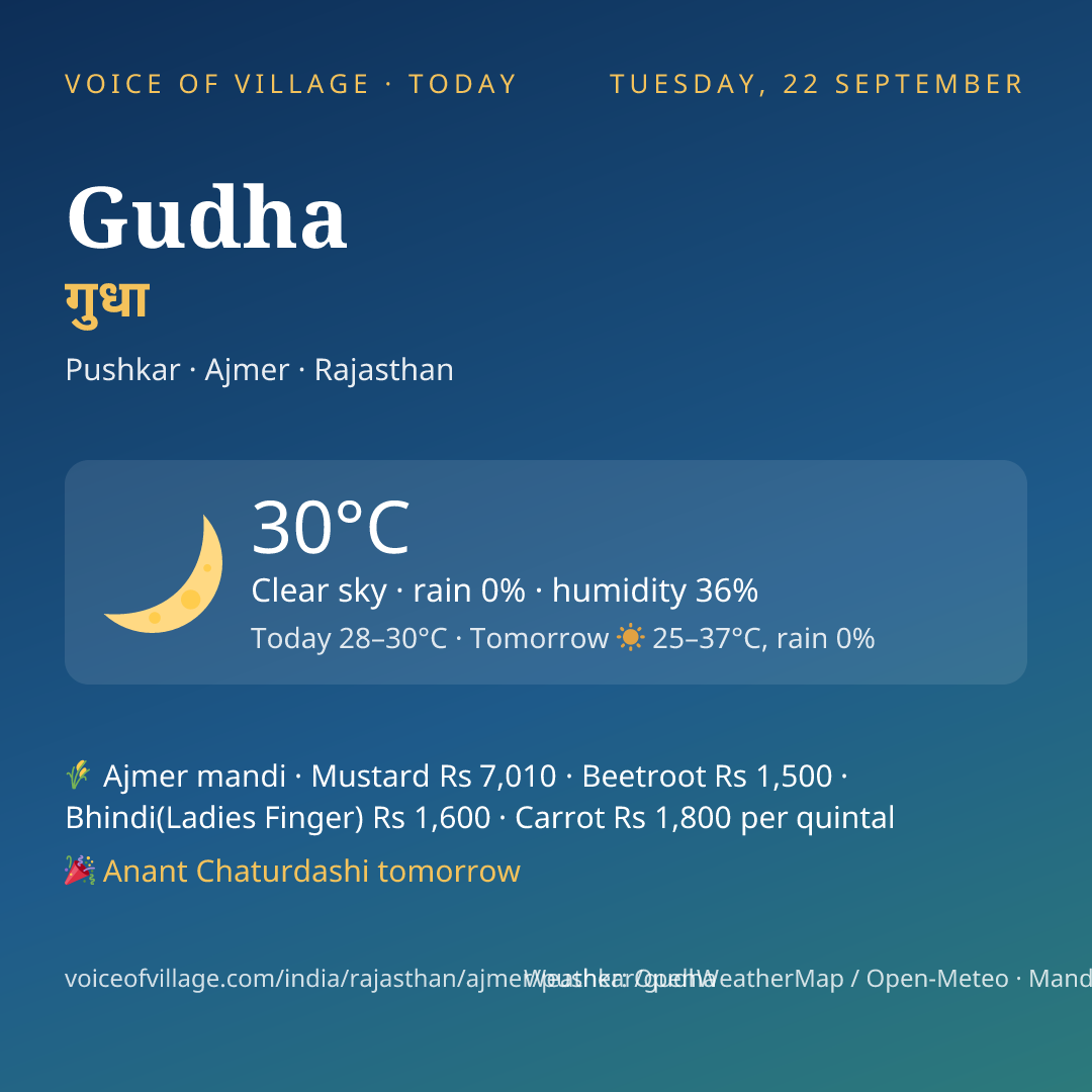 Gudha today