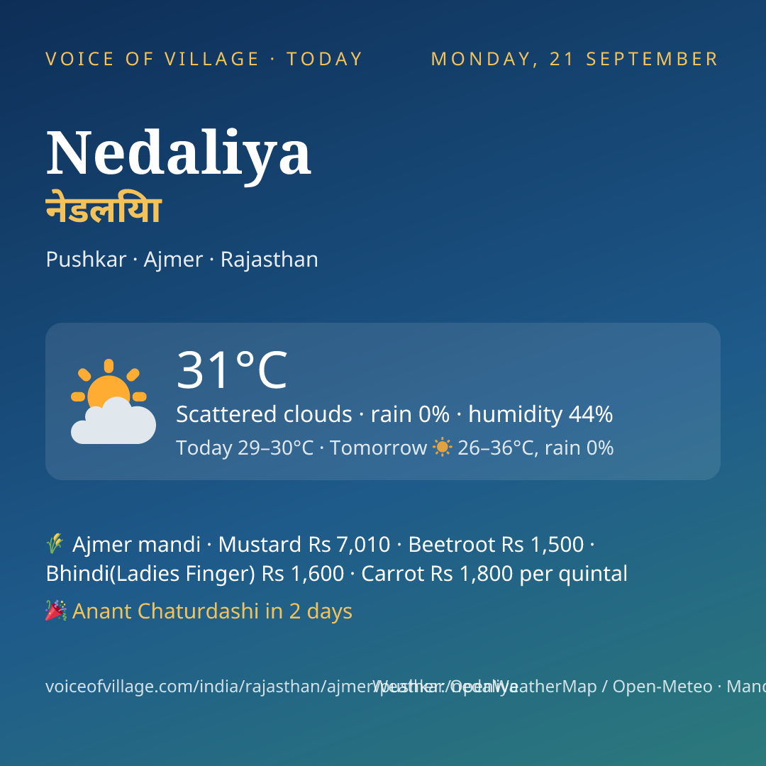 Nedaliya today