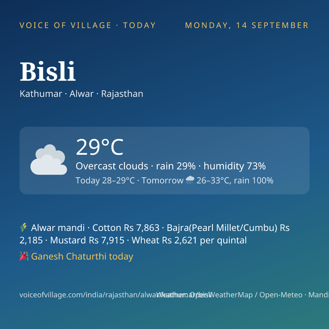 Bisli today