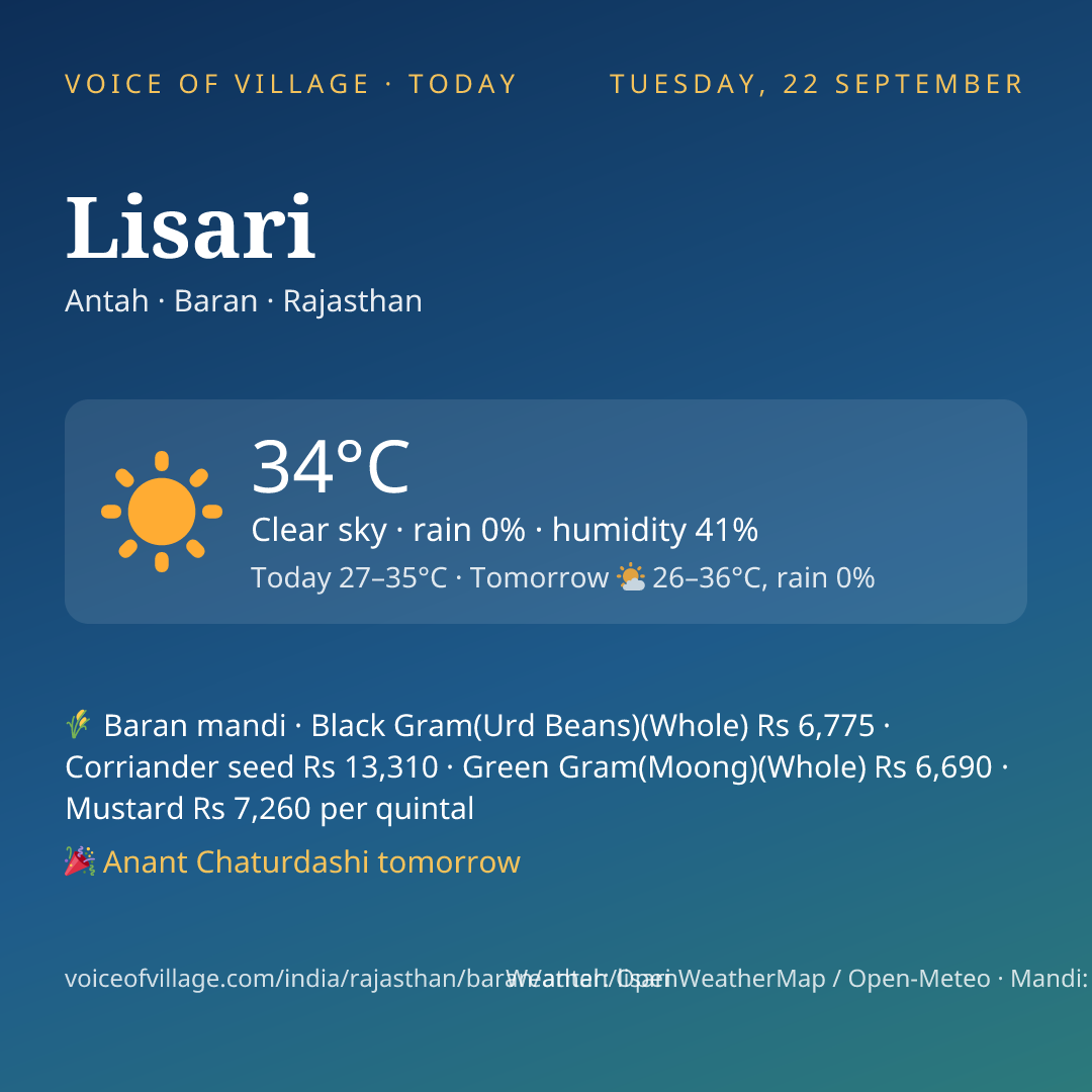 Lisari today