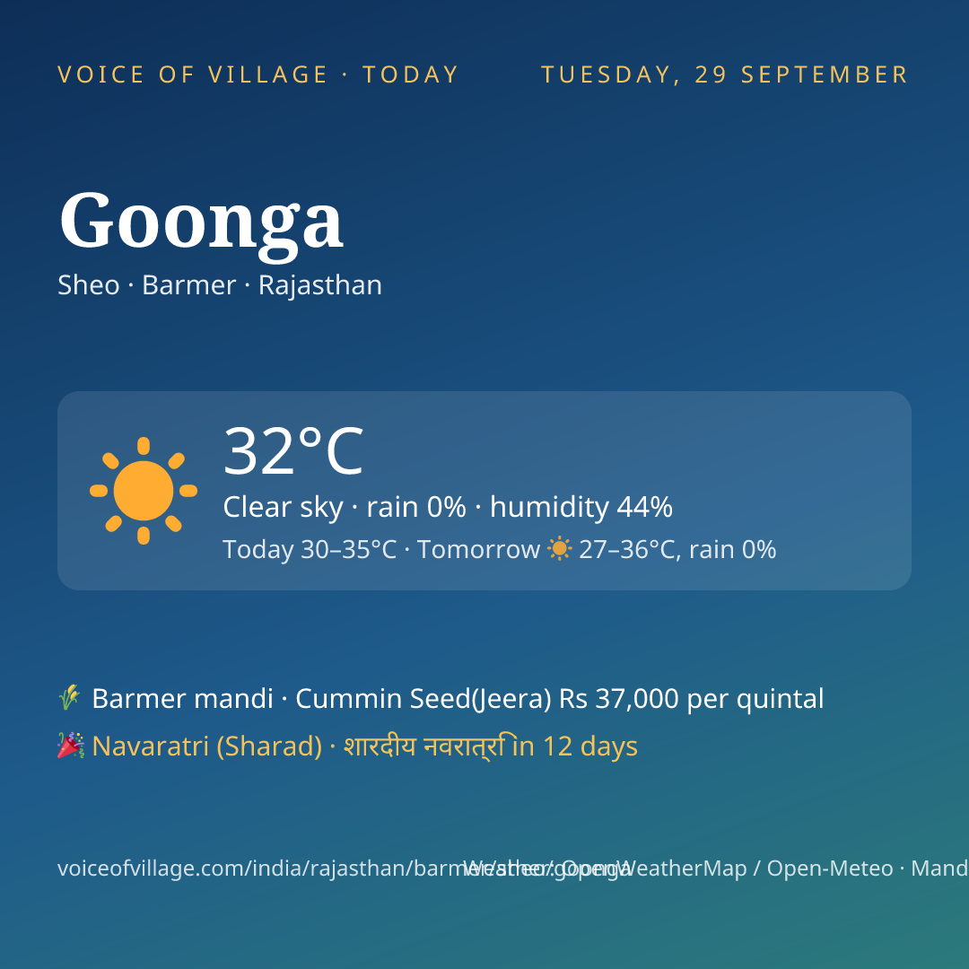 Goonga today