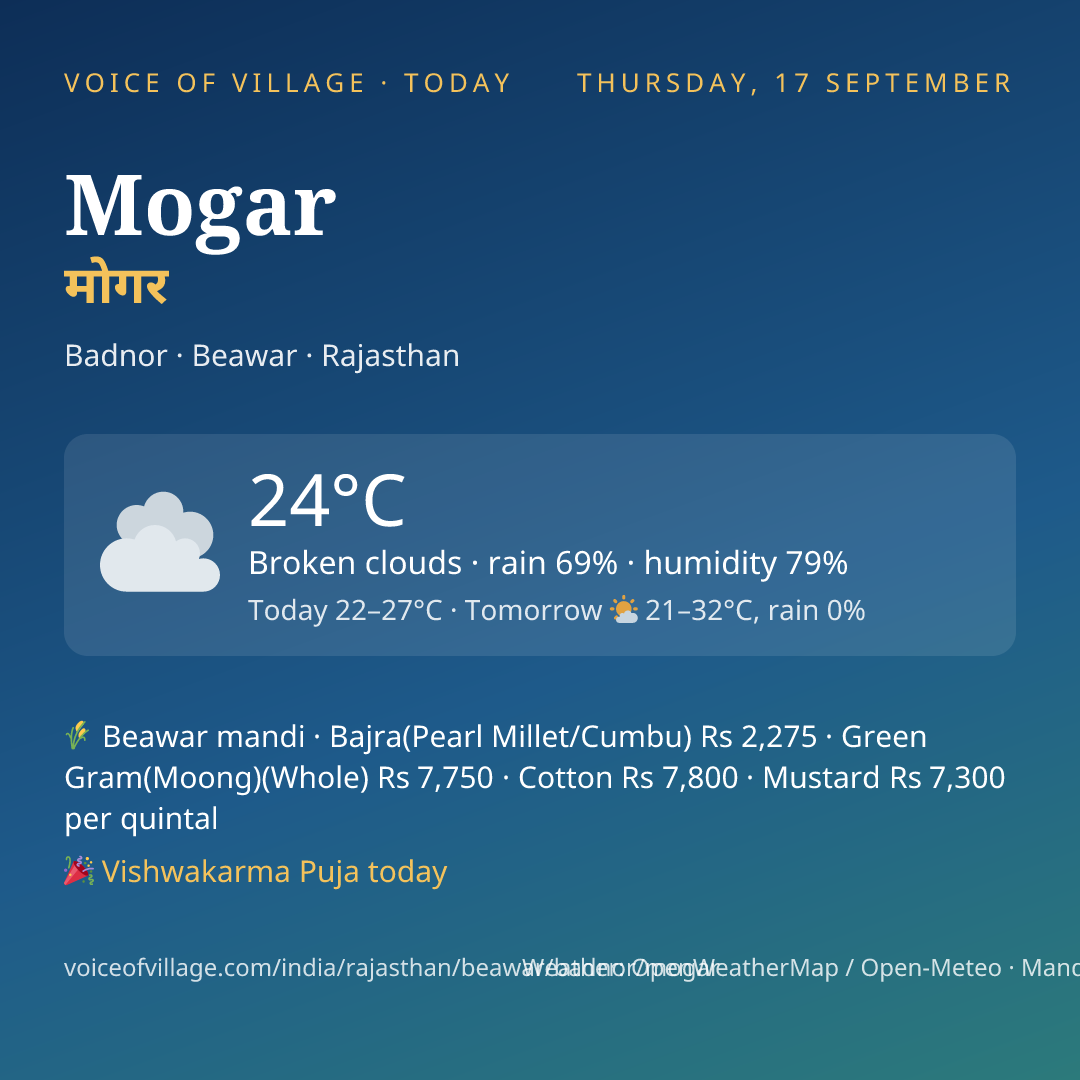 Mogar today