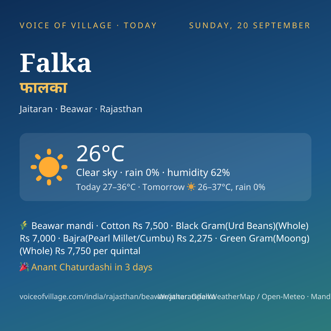 Falka today