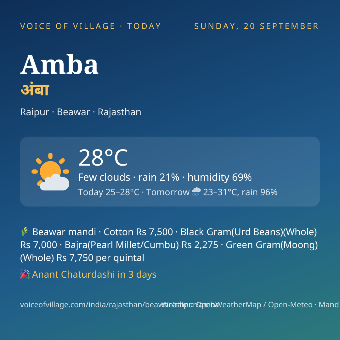 Amba today