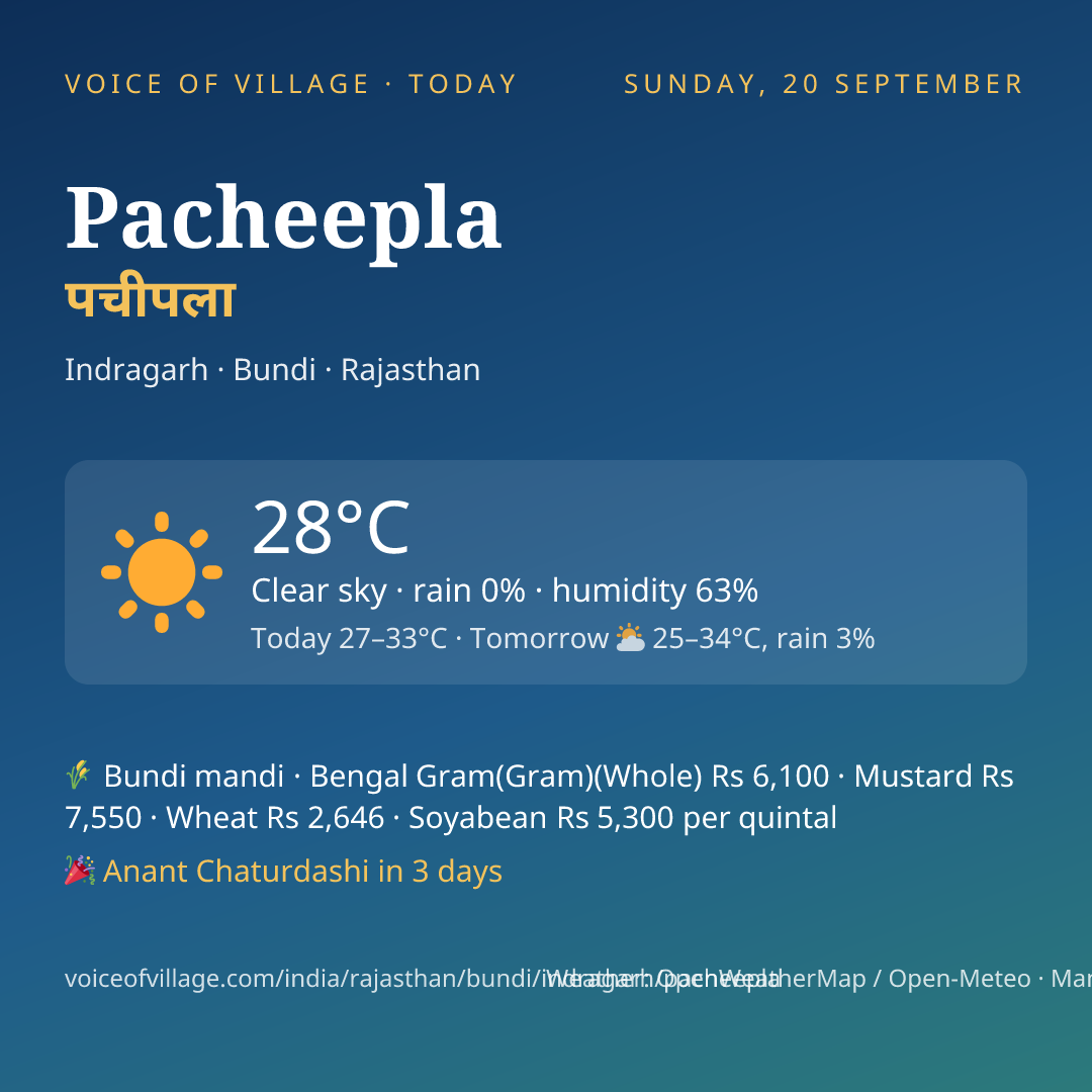 Pacheepla today