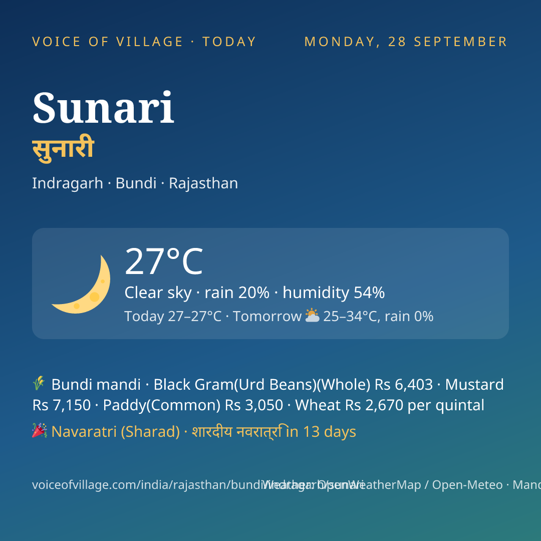 Sunari today