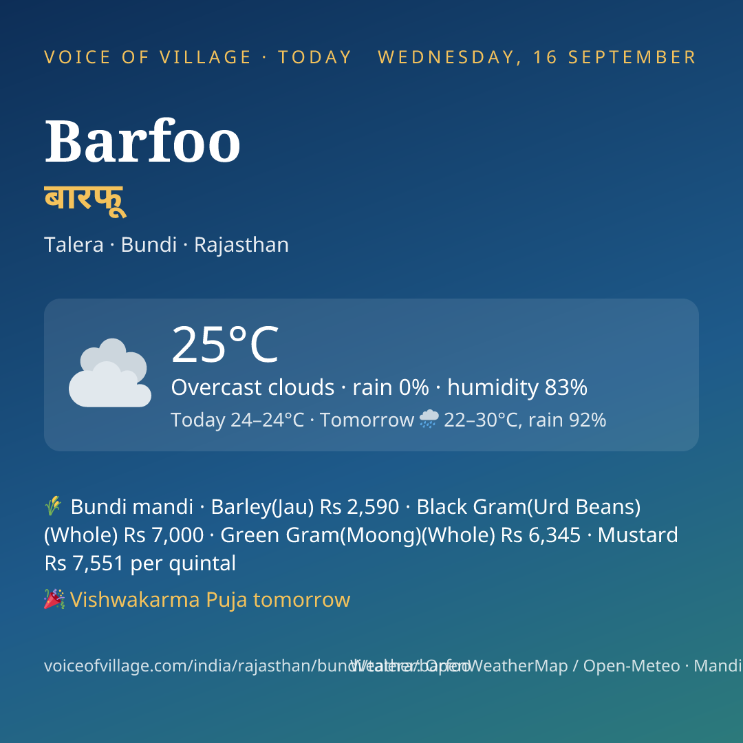Barfoo today