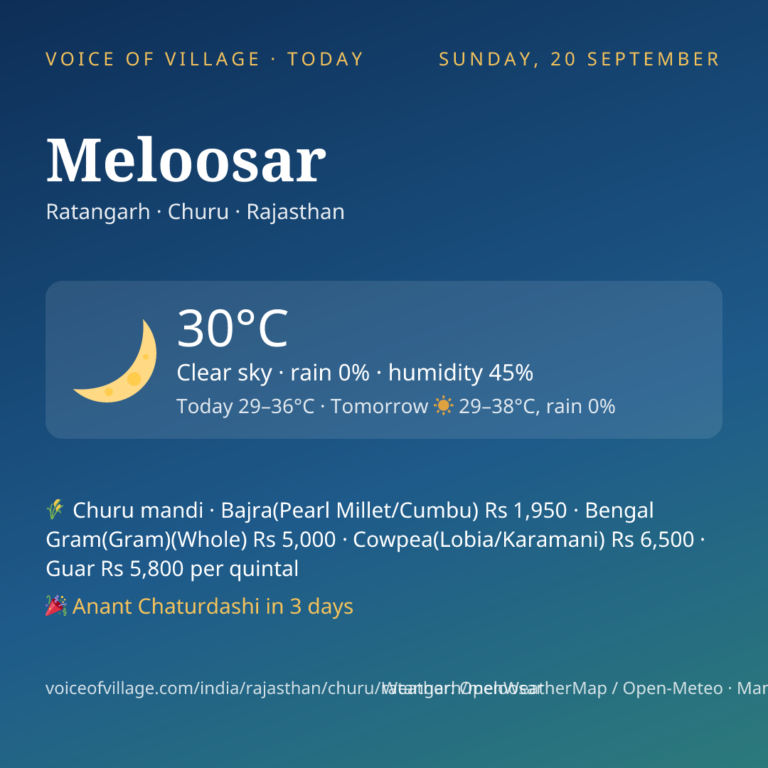 Meloosar today