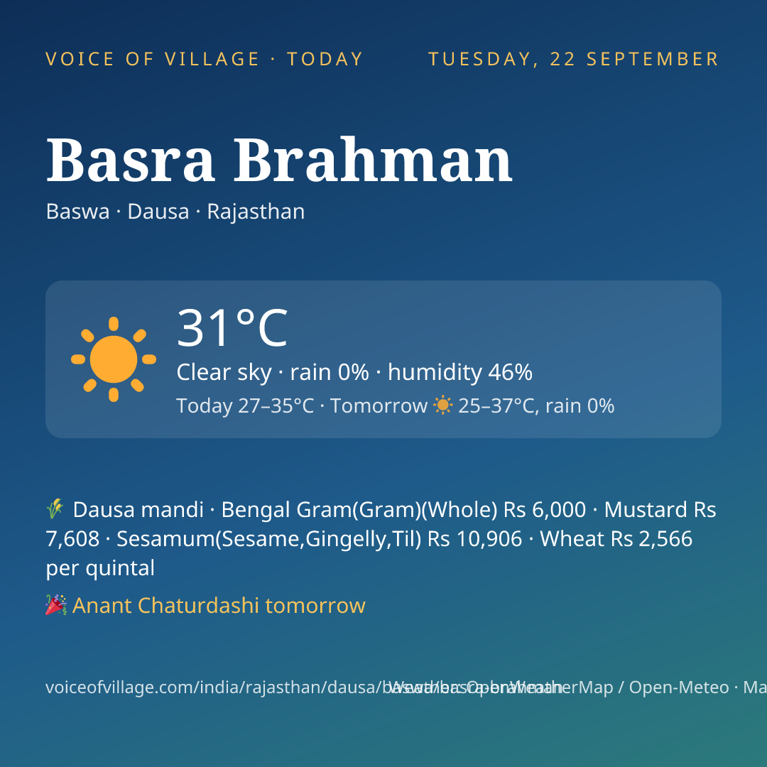 Basra Brahman today