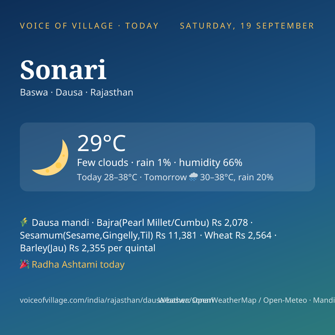 Sonari today