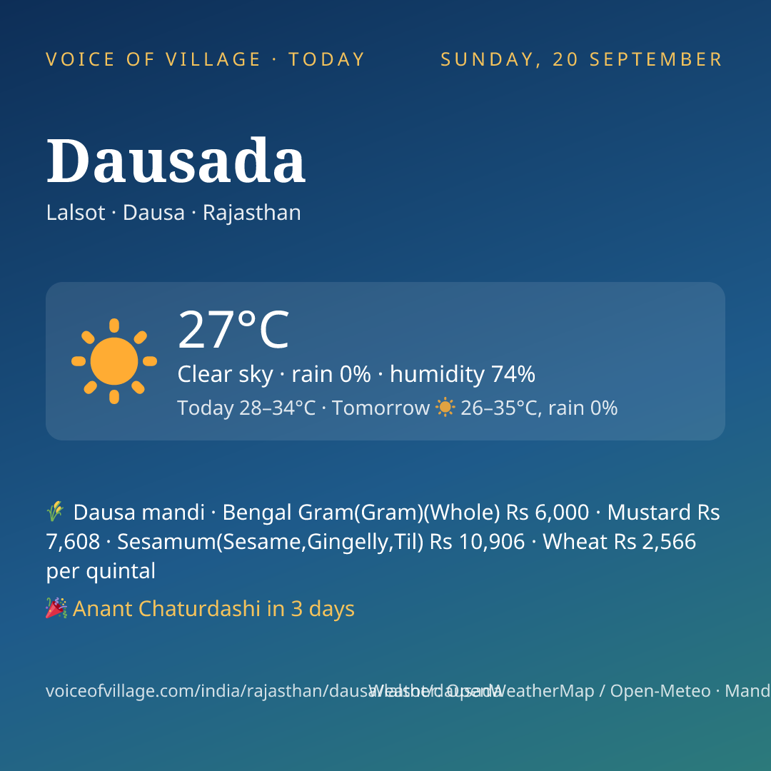 Dausada today