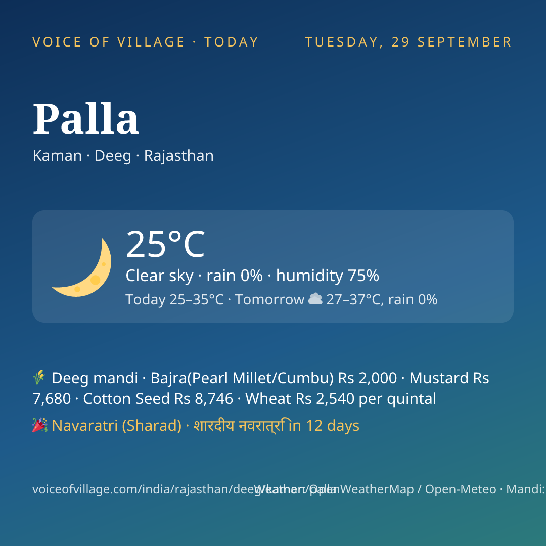 Palla today