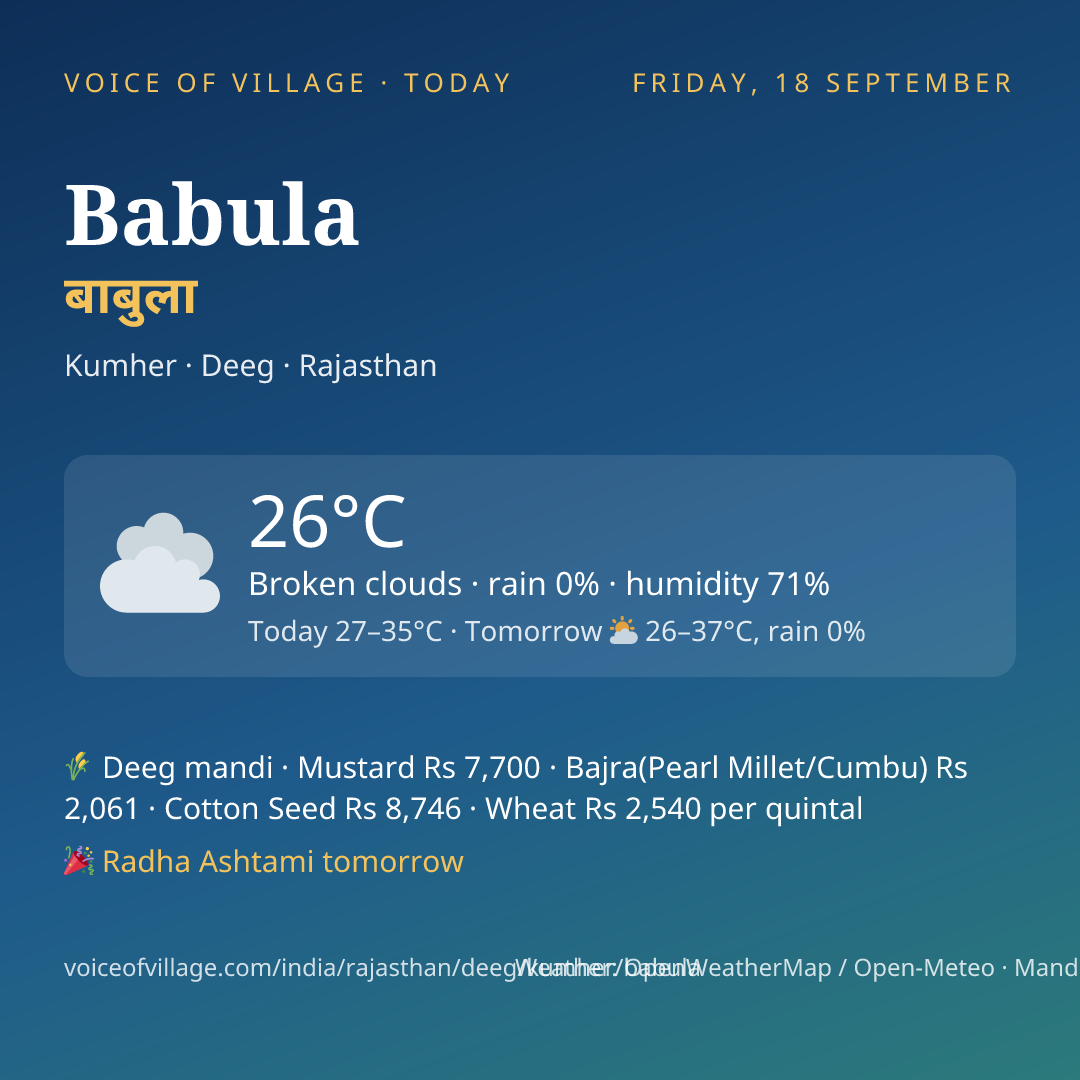 Babula today