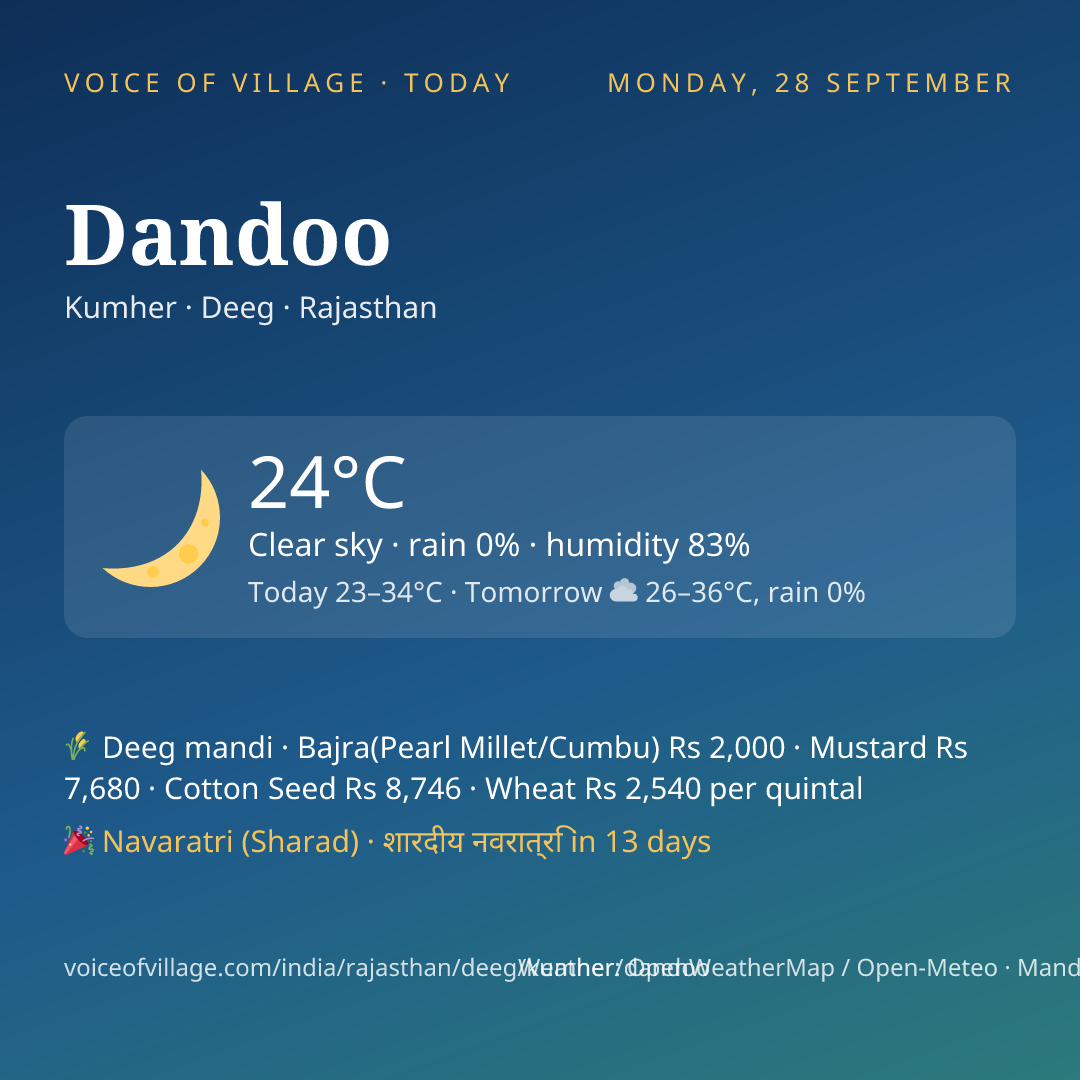 Dandoo today
