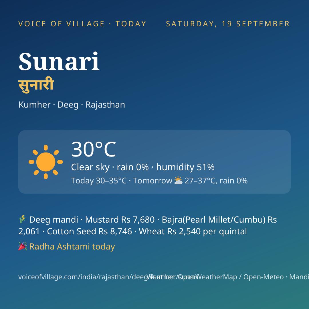 Sunari today