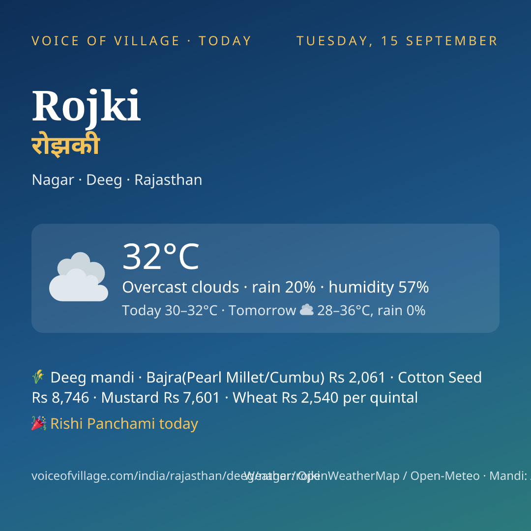 Rojki today
