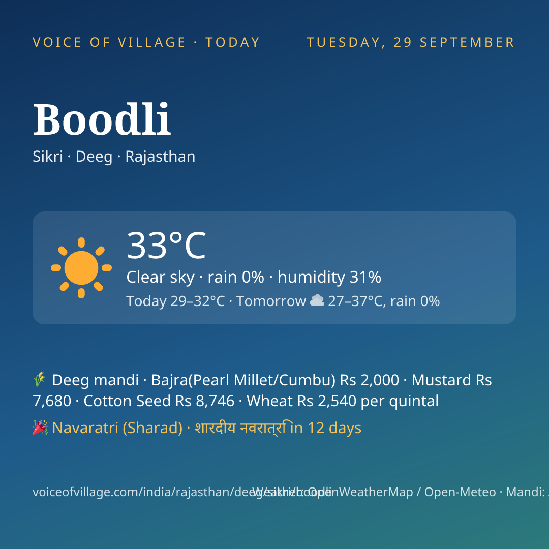 Boodli today