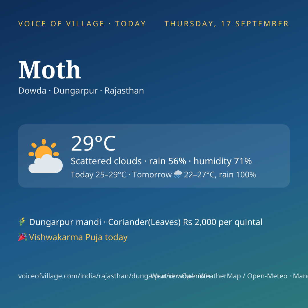 Moth today