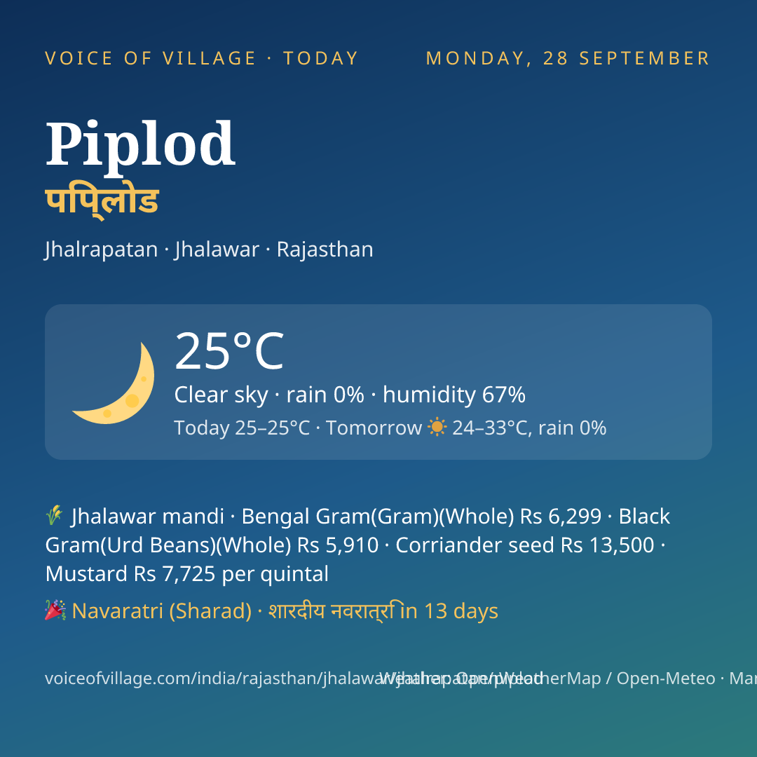 Piplod today