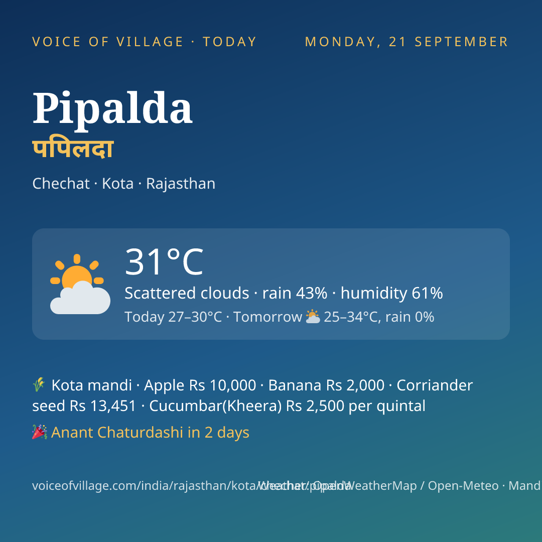 Pipalda today