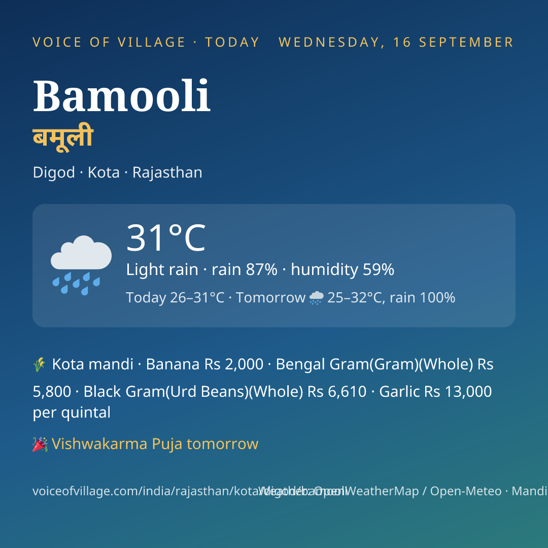 Bamooli today