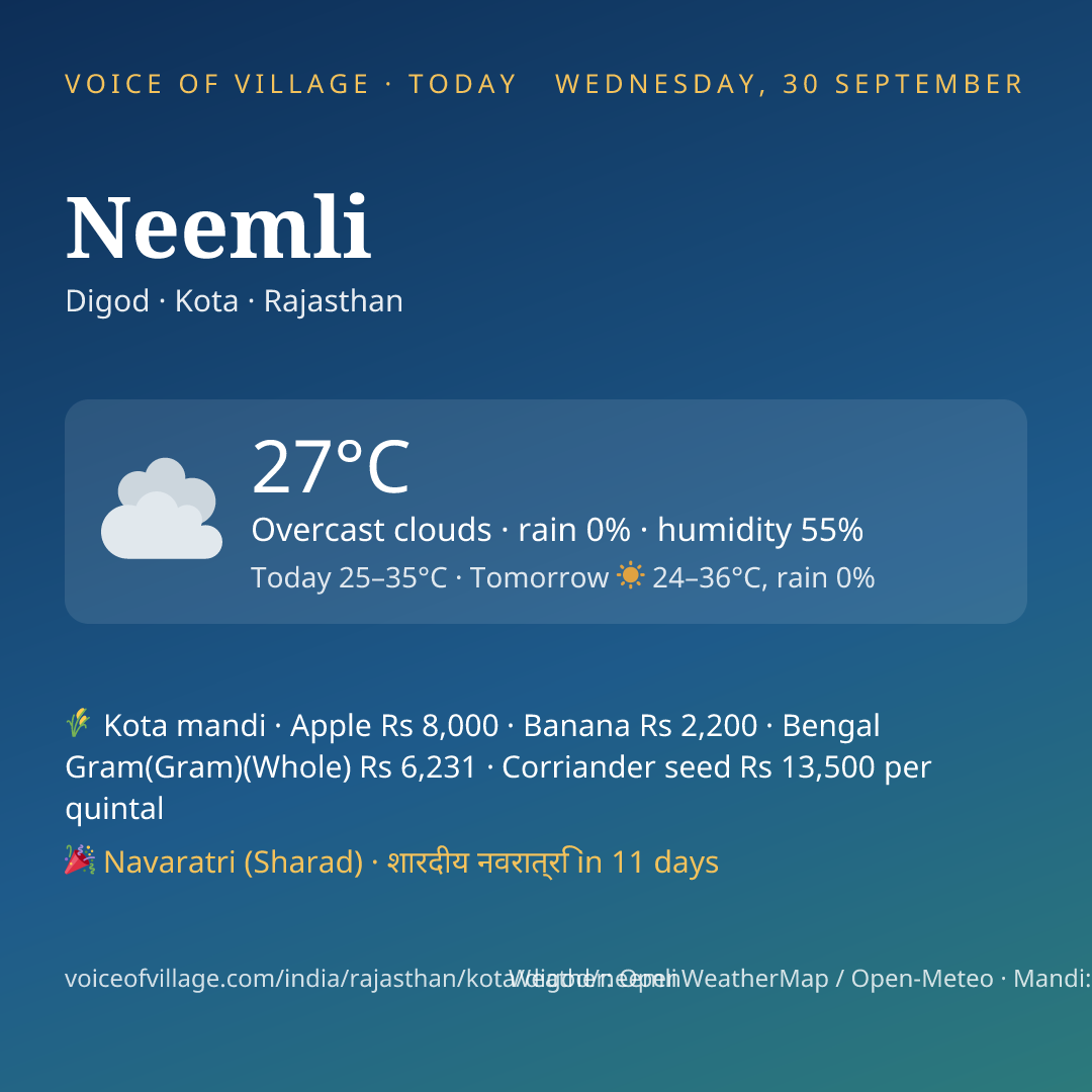 Neemli today