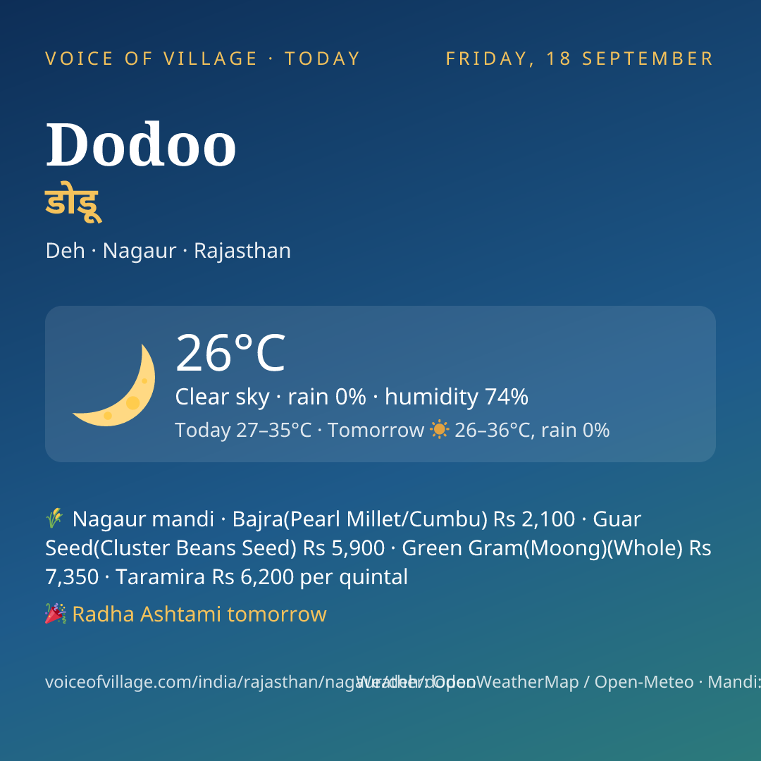 Dodoo today