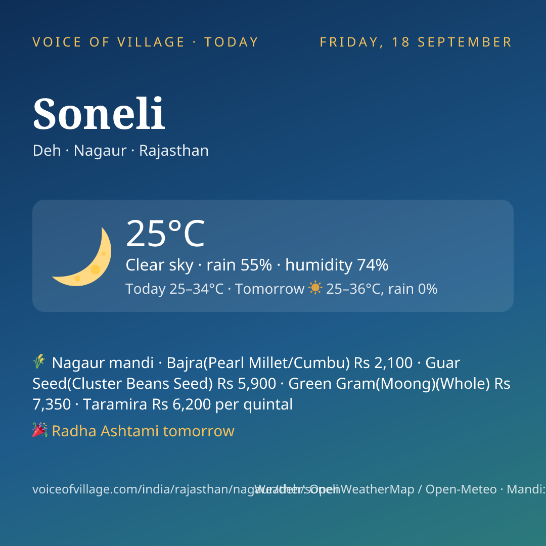 Soneli today