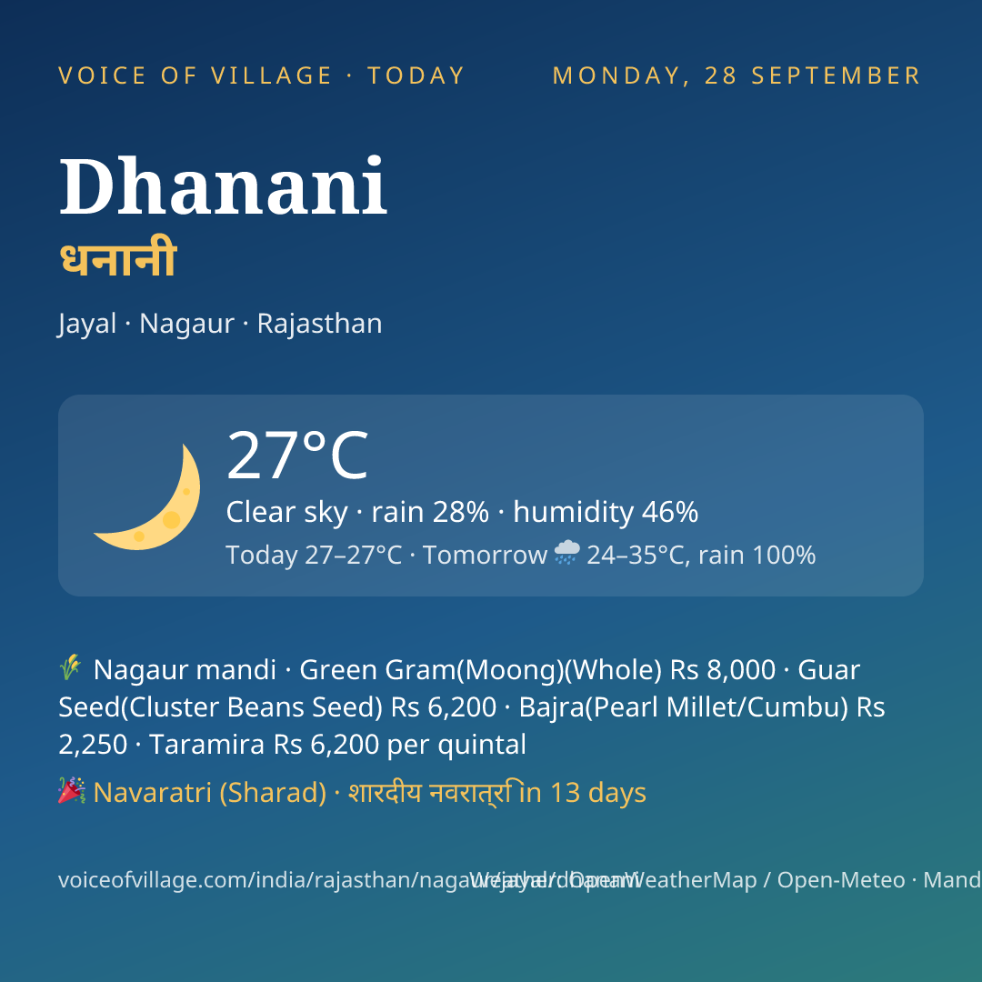 Dhanani today