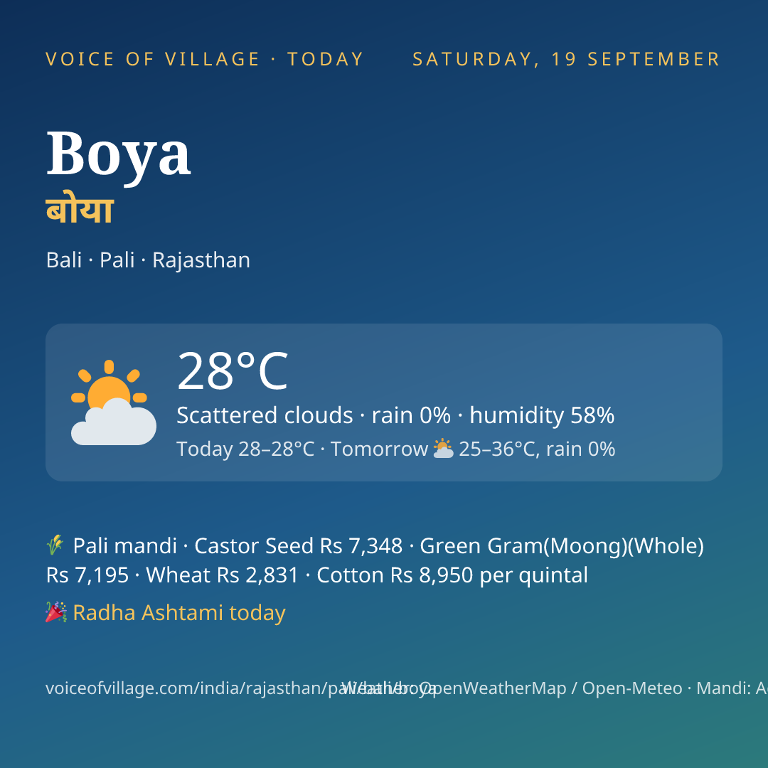 Boya today