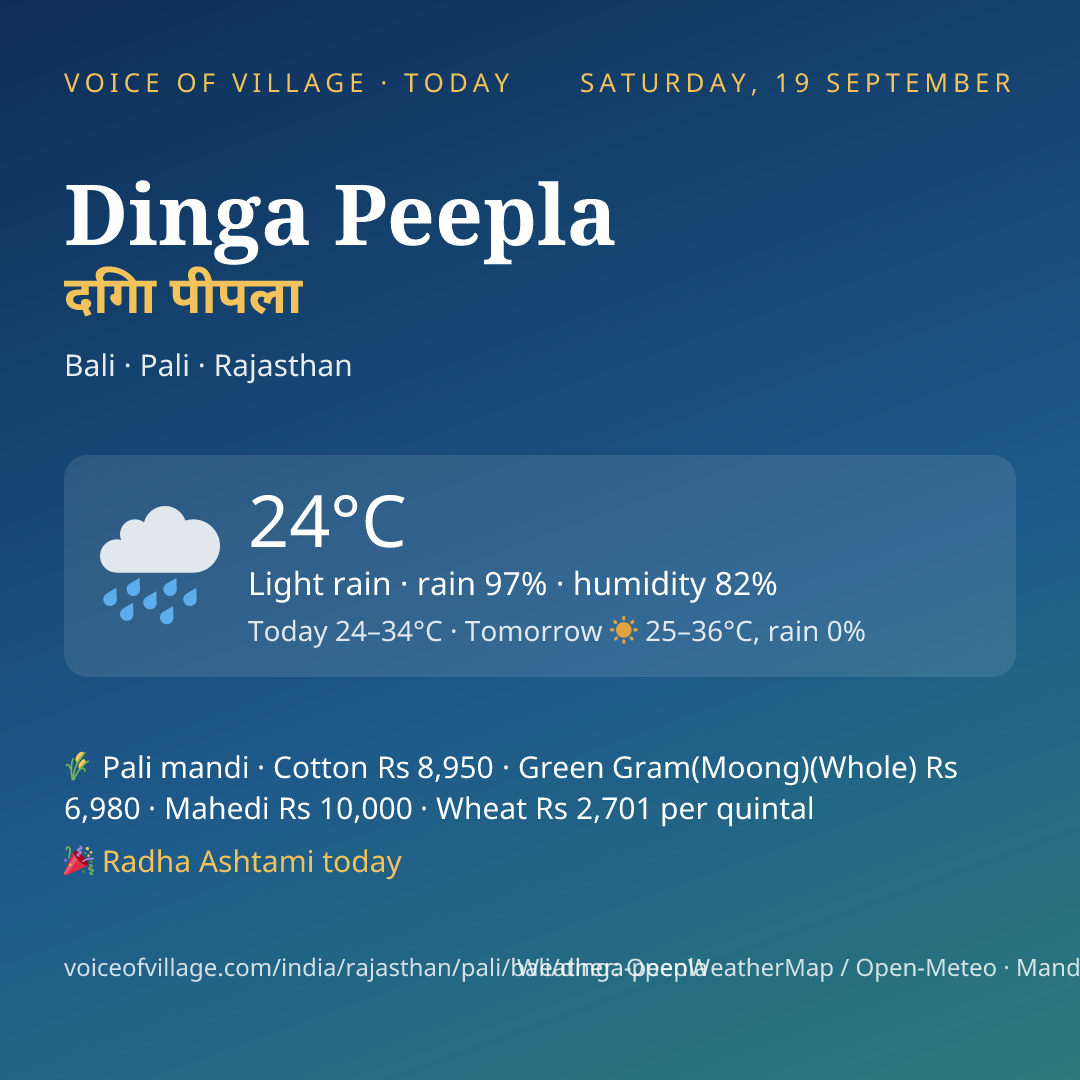 Dinga Peepla today
