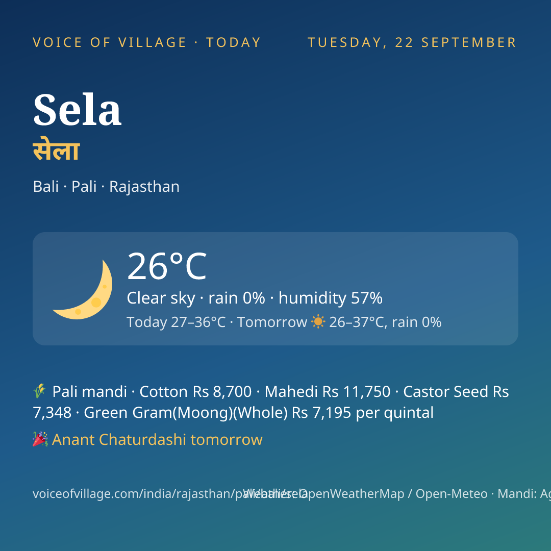 Sela today