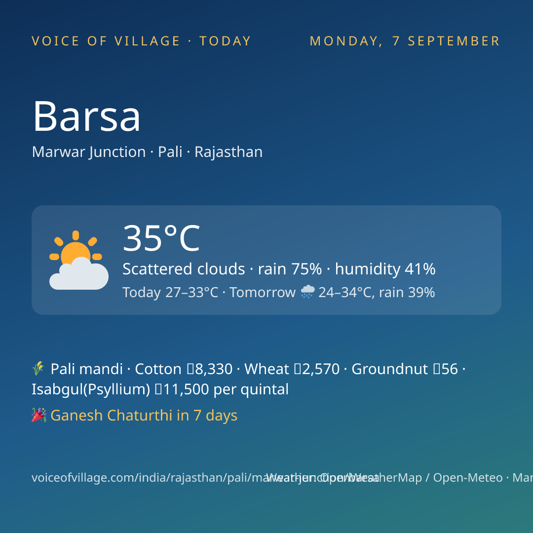 Barsa today