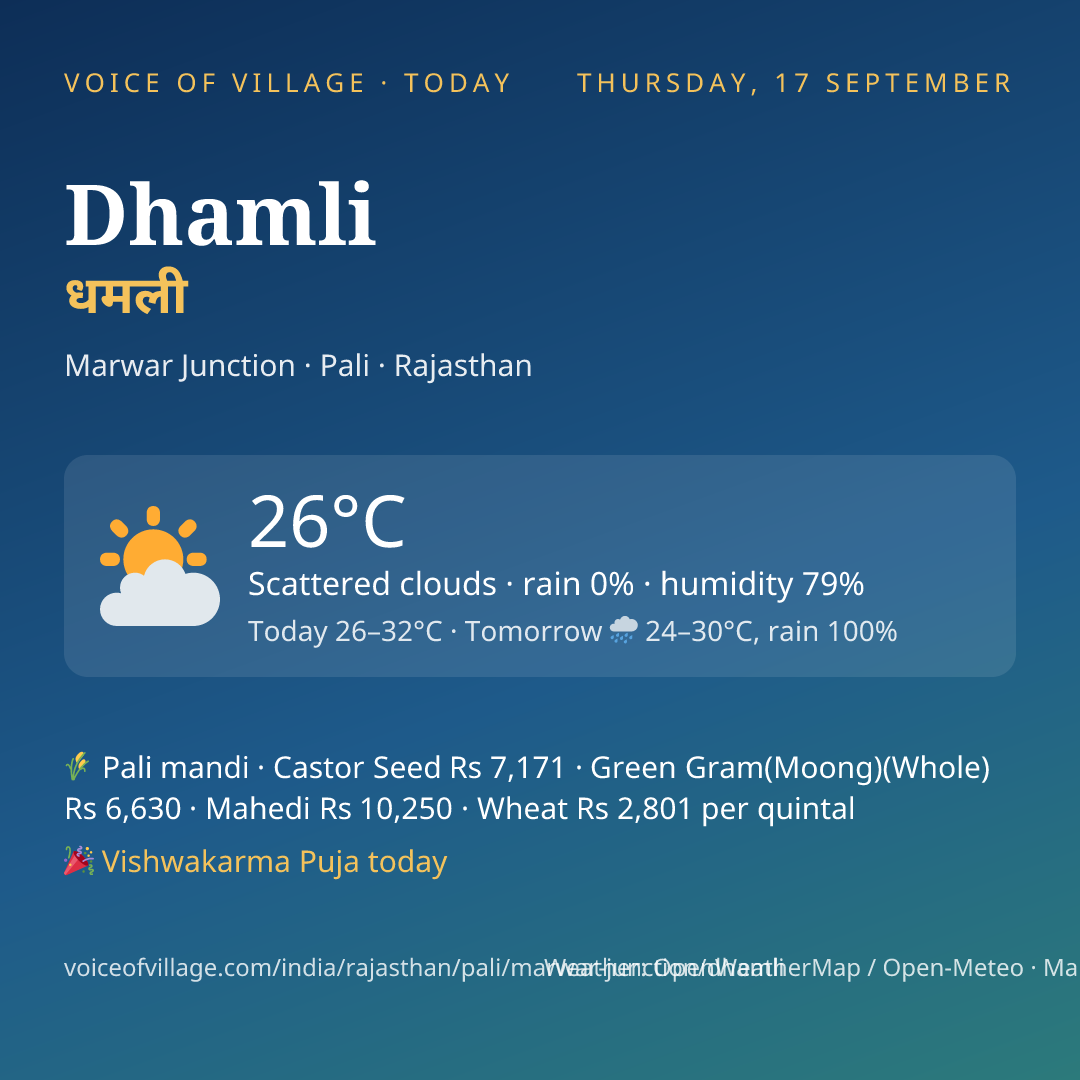 Dhamli today