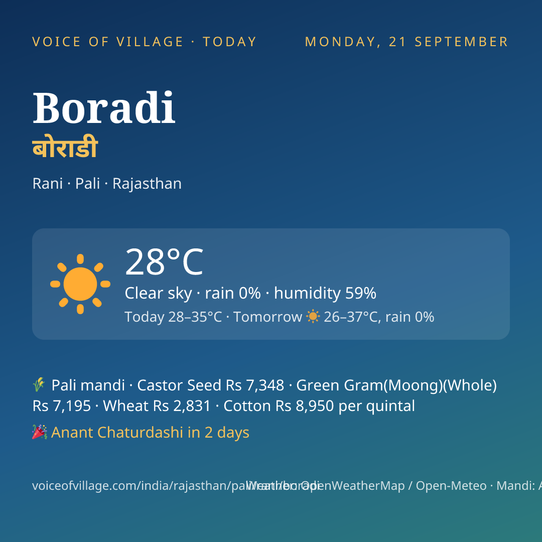 Boradi today