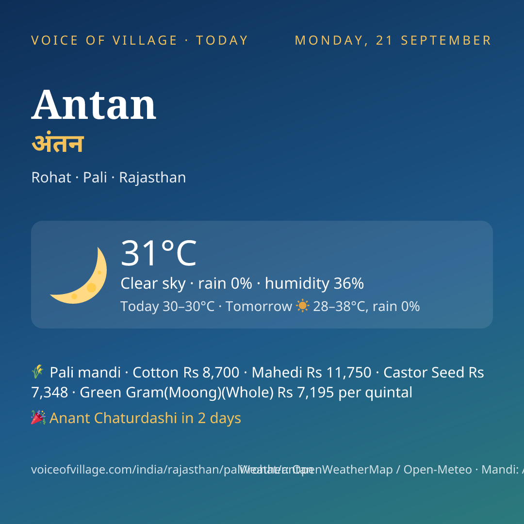 Antan today