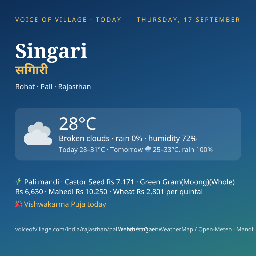 Singari today