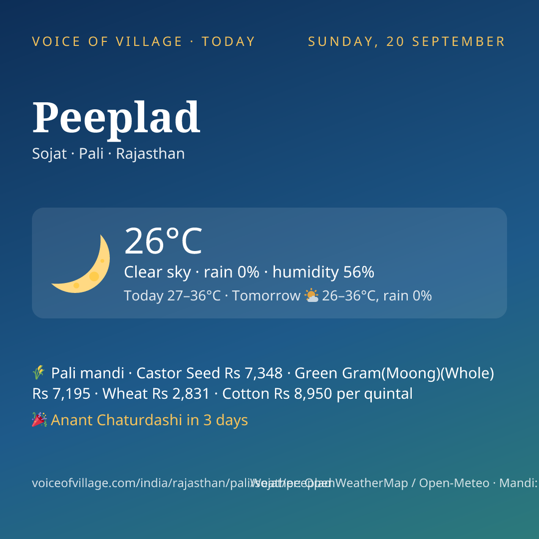 Peeplad today