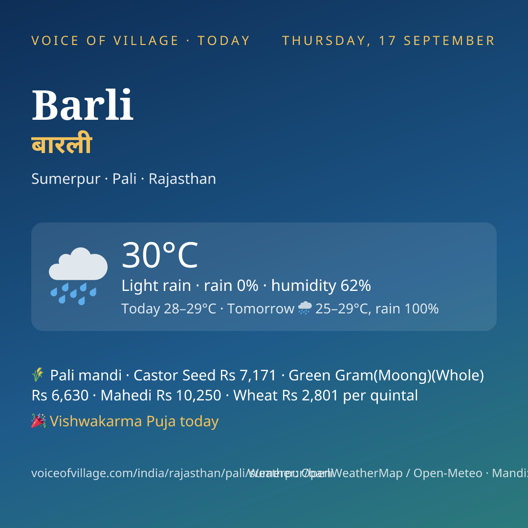 Barli today