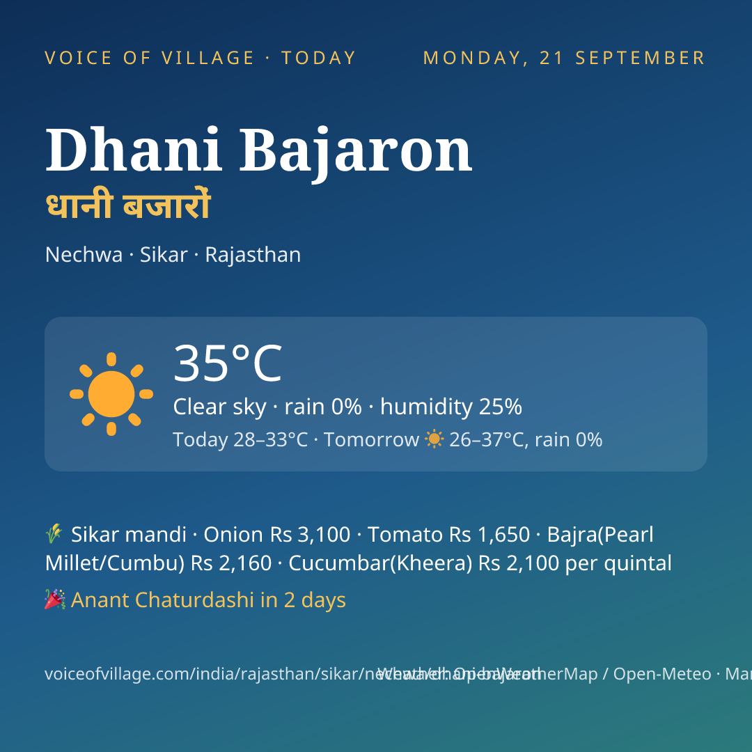 Dhani Bajaron today
