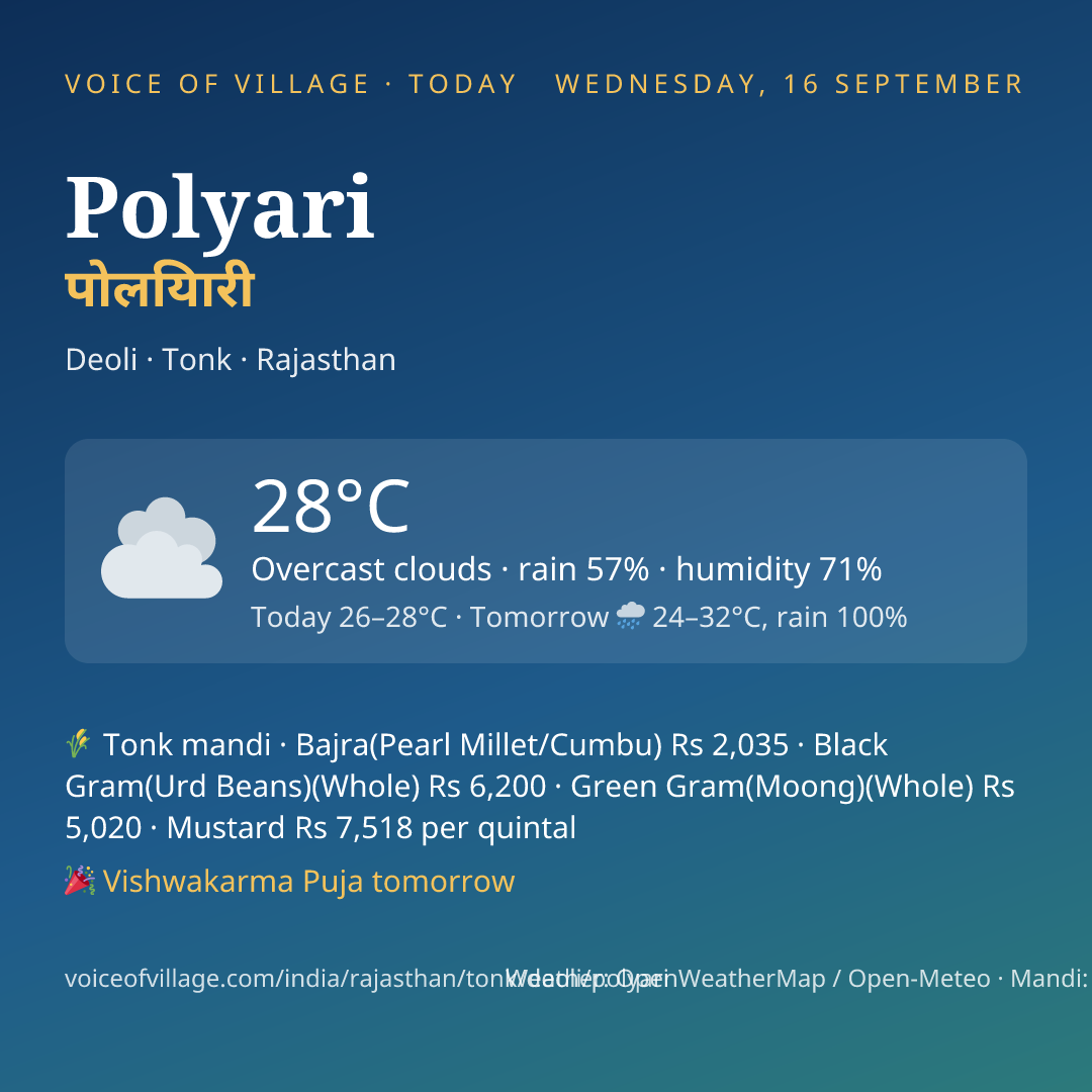 Polyari today