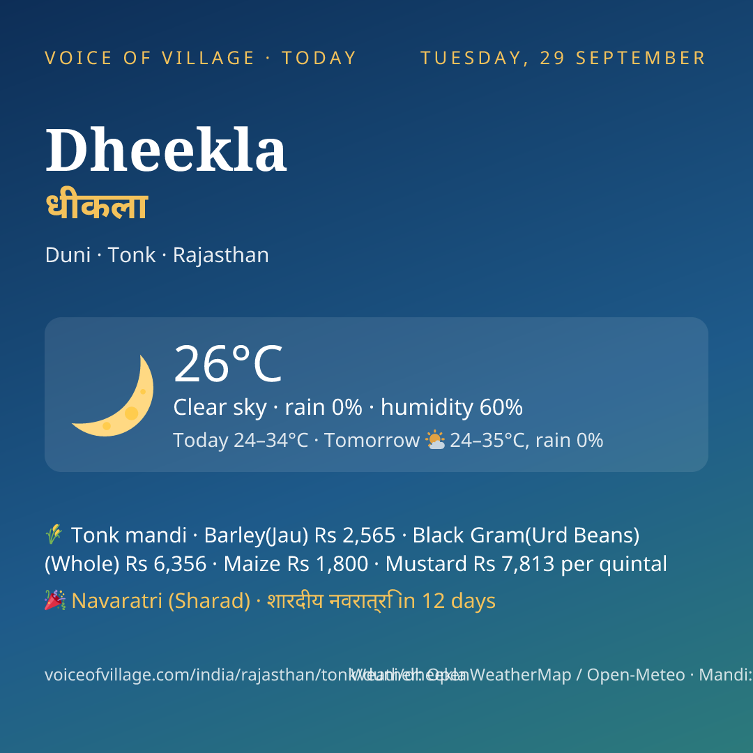 Dheekla today