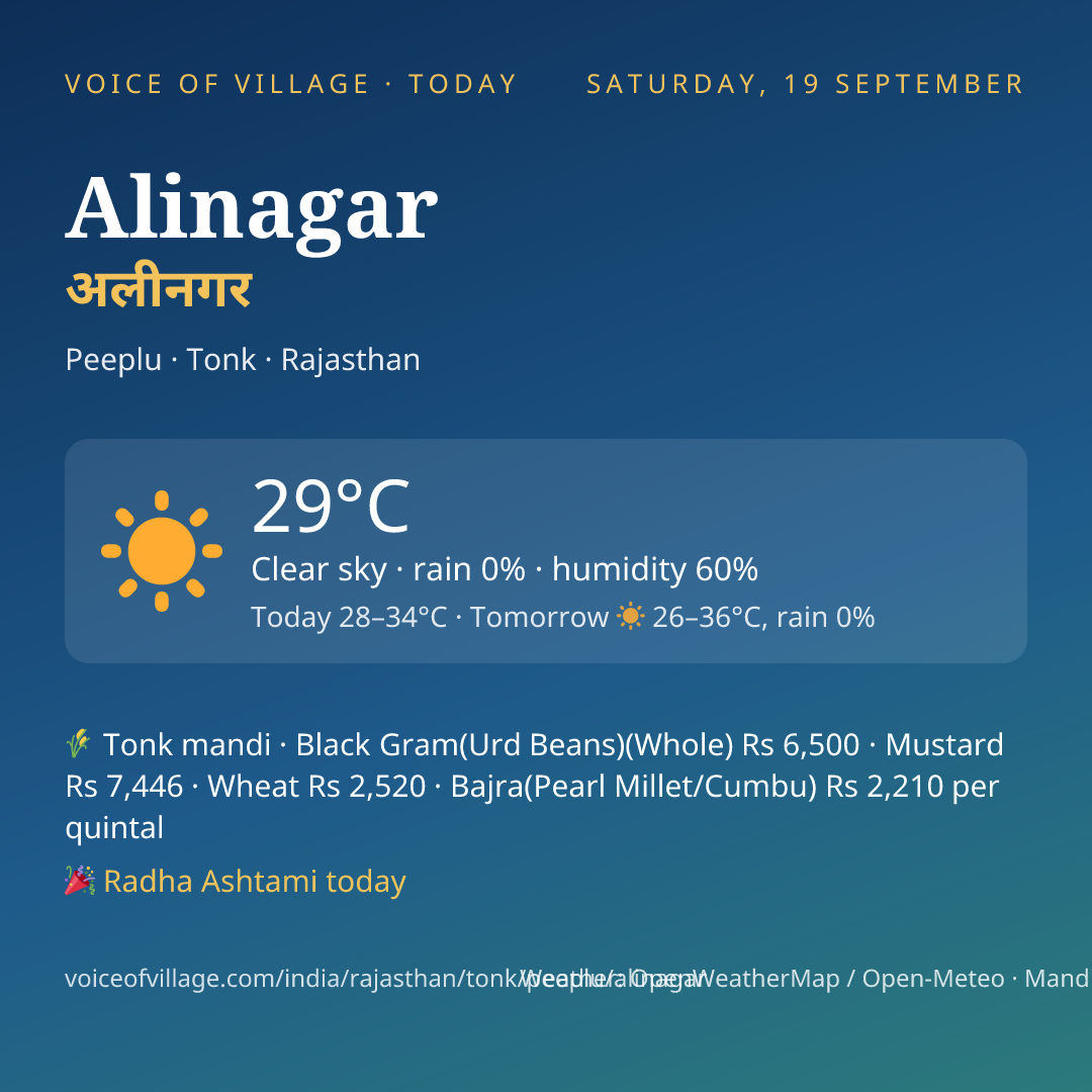 Alinagar today